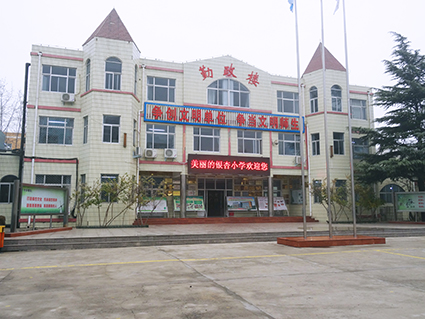 河南安阳银杏小学——银杏文化