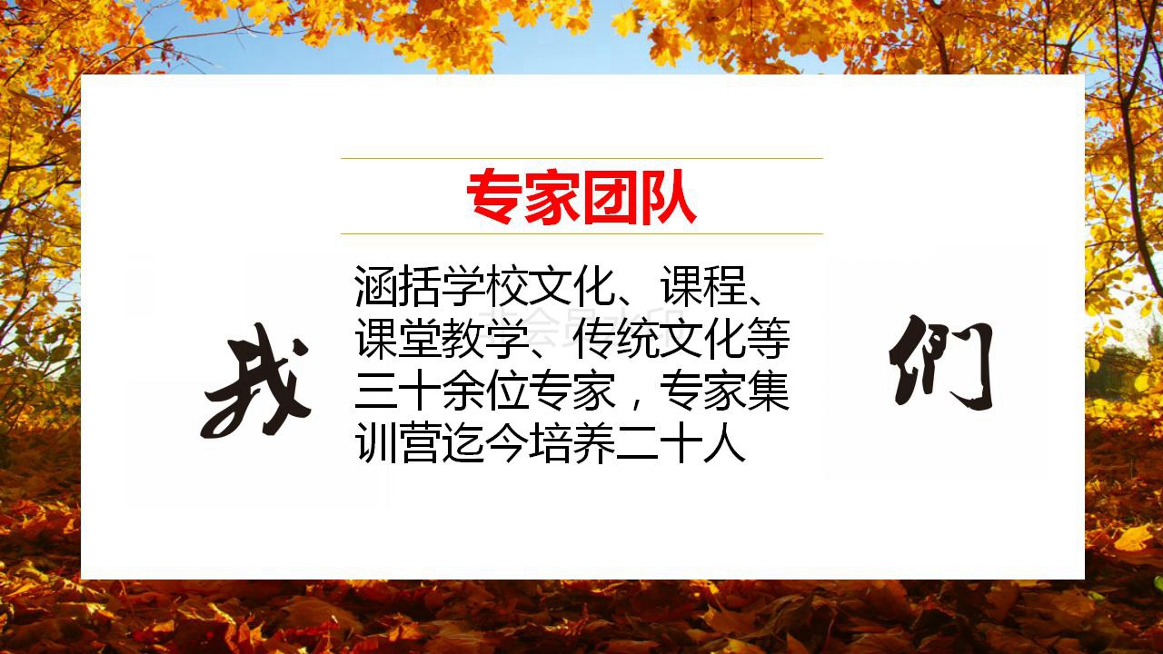 我们的专家团队