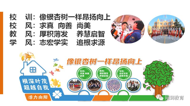 班主任教育主张的凝练与表达